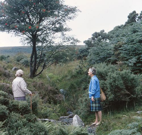 Tributary of the river Mardle