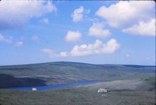 Avon reservoir, view of hay Tor