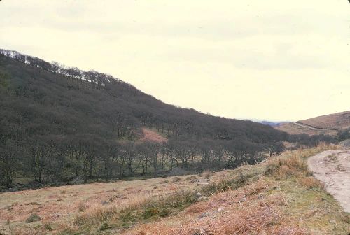 An image from the Dartmoor Trust Archive