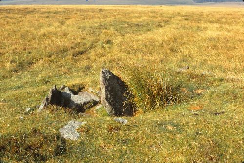 An image from the Dartmoor Trust Archive