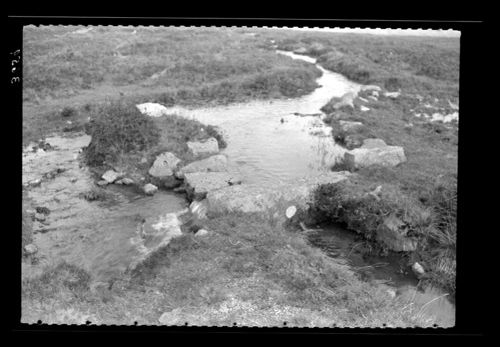 Bull's eye stone on Grimstone and Sortridge leat.