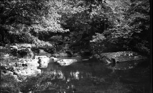 An image from the Dartmoor Trust Archive