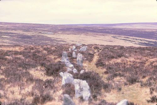 An image from the Dartmoor Trust Archive