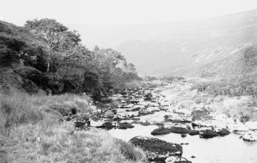 An image from the Dartmoor Trust Archive