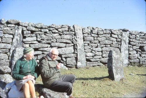 Sheepfold near Postbridge