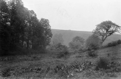 An image from the Dartmoor Trust Archive