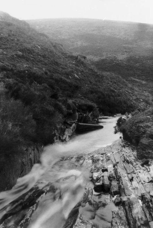 An image from the Dartmoor Trust Archive