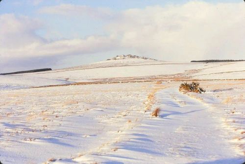 An image from the Dartmoor Trust Archive