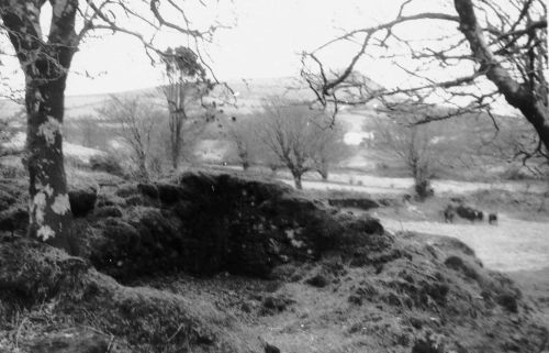 An image from the Dartmoor Trust Archive