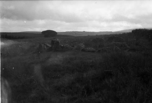 An image from the Dartmoor Trust Archive