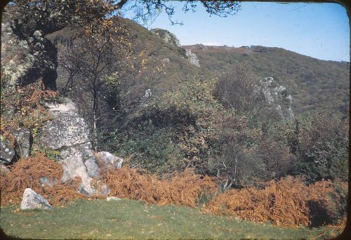 On the Dewerstone