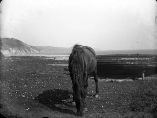 An image from the Dartmoor Trust Archive