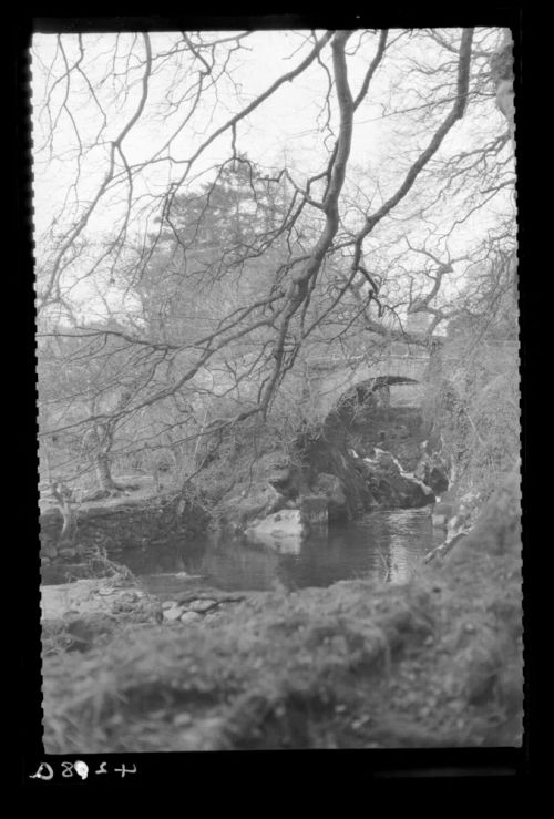 Lydia Bridge and Falls, South Brent