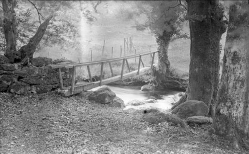 An image from the Dartmoor Trust Archive