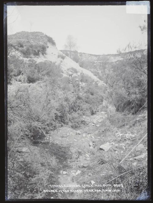 Smallacombe, source of Aller stream, Dawlish