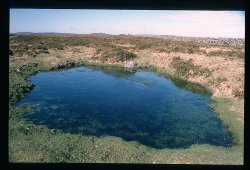 An image from the Dartmoor Trust Archive