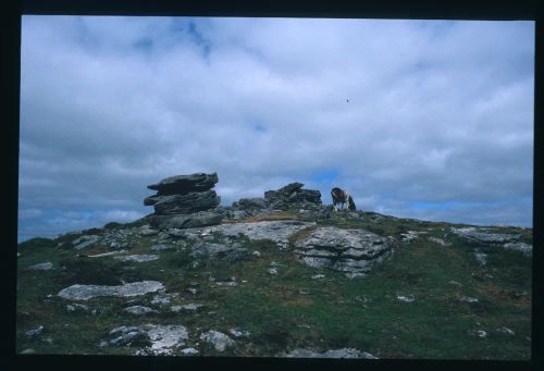 An image from the Dartmoor Trust Archive