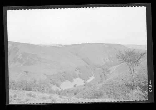 Fingle Bridge