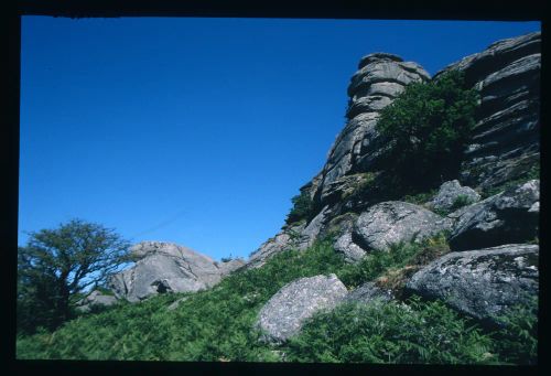 An image from the Dartmoor Trust Archive