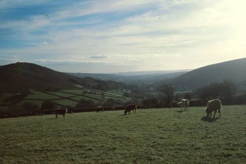 An image from the Dartmoor Trust Archive