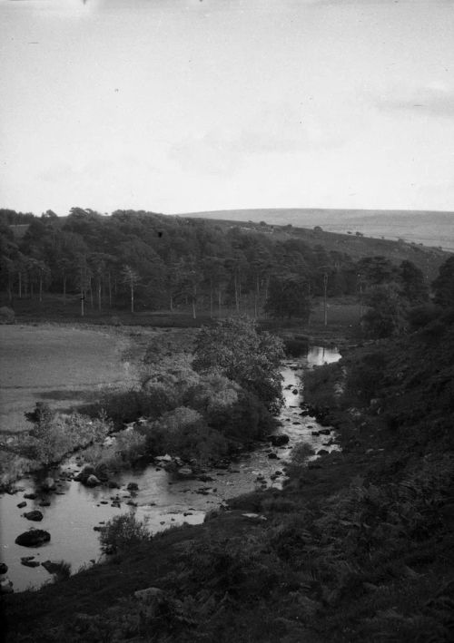 An image from the Dartmoor Trust Archive