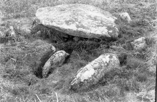 An image from the Dartmoor Trust Archive