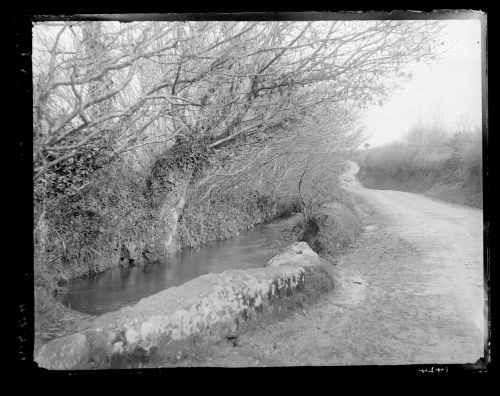 Leat in Walkhampton road, Horrabridge