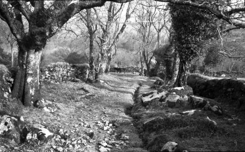 An image from the Dartmoor Trust Archive