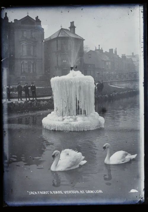 Swans and fountain, Dawlish