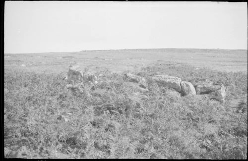 Hut circle on Shapley Common near the road to Grimspound