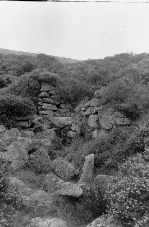 An image from the Dartmoor Trust Archive