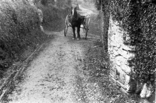 An image from the Dartmoor Trust Archive