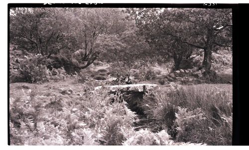 Deancombe Farm clapper bridge