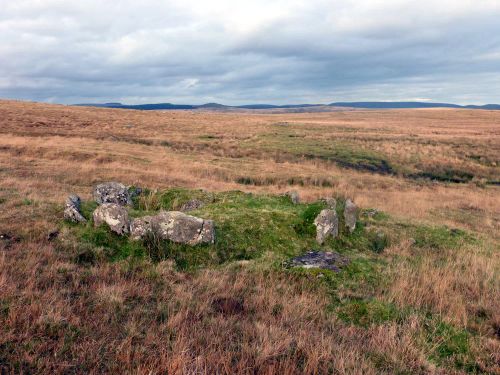 An image from the Dartmoor Trust Archive