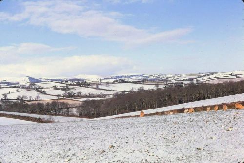 An image from the Dartmoor Trust Archive