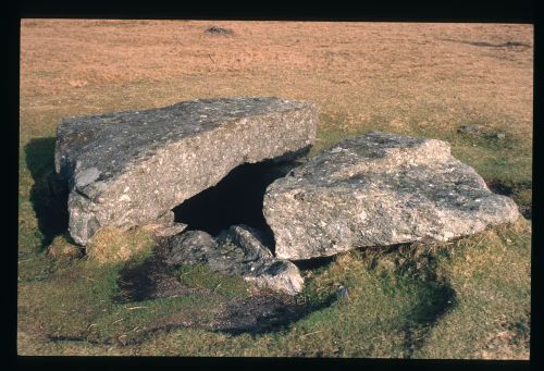 An image from the Dartmoor Trust Archive