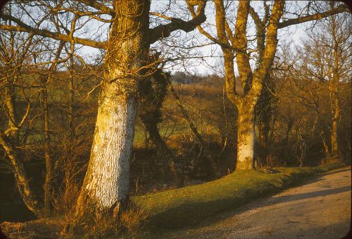 Near Meavy