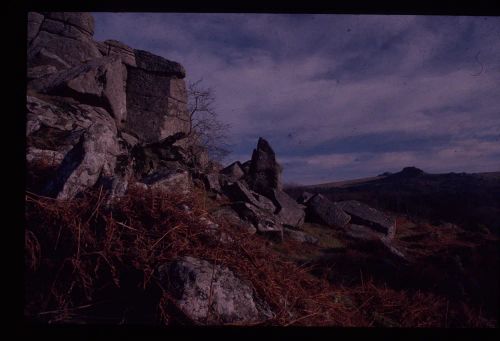 An image from the Dartmoor Trust Archive