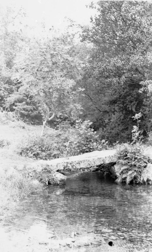 An image from the Dartmoor Trust Archive