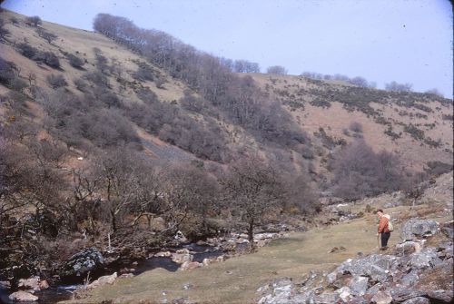 Meldon Valley