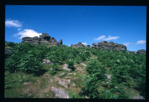 An image from the Dartmoor Trust Archive