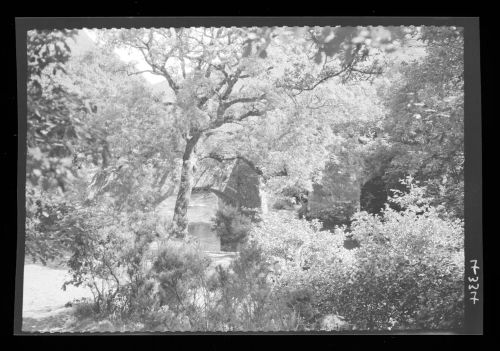 Fingle Bridge