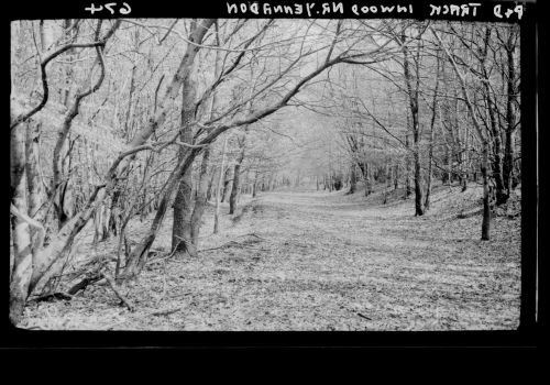 The Plymouth and Dartmoor tramway in woods adjoining Yennadon Down