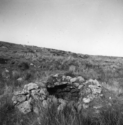 An image from the Dartmoor Trust Archive