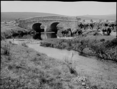 Cherrybrook Bridge