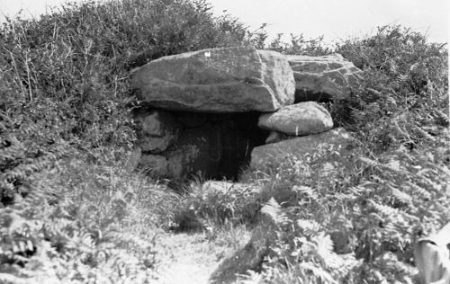 An image from the Dartmoor Trust Archive