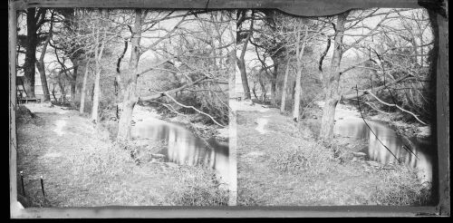 Stereoscopic view of a river