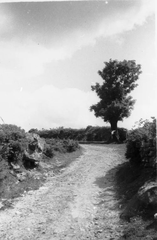 An image from the Dartmoor Trust Archive