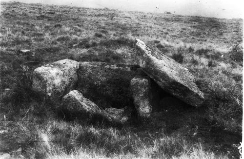 An image from the Dartmoor Trust Archive