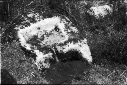 An image from the Dartmoor Trust Archive